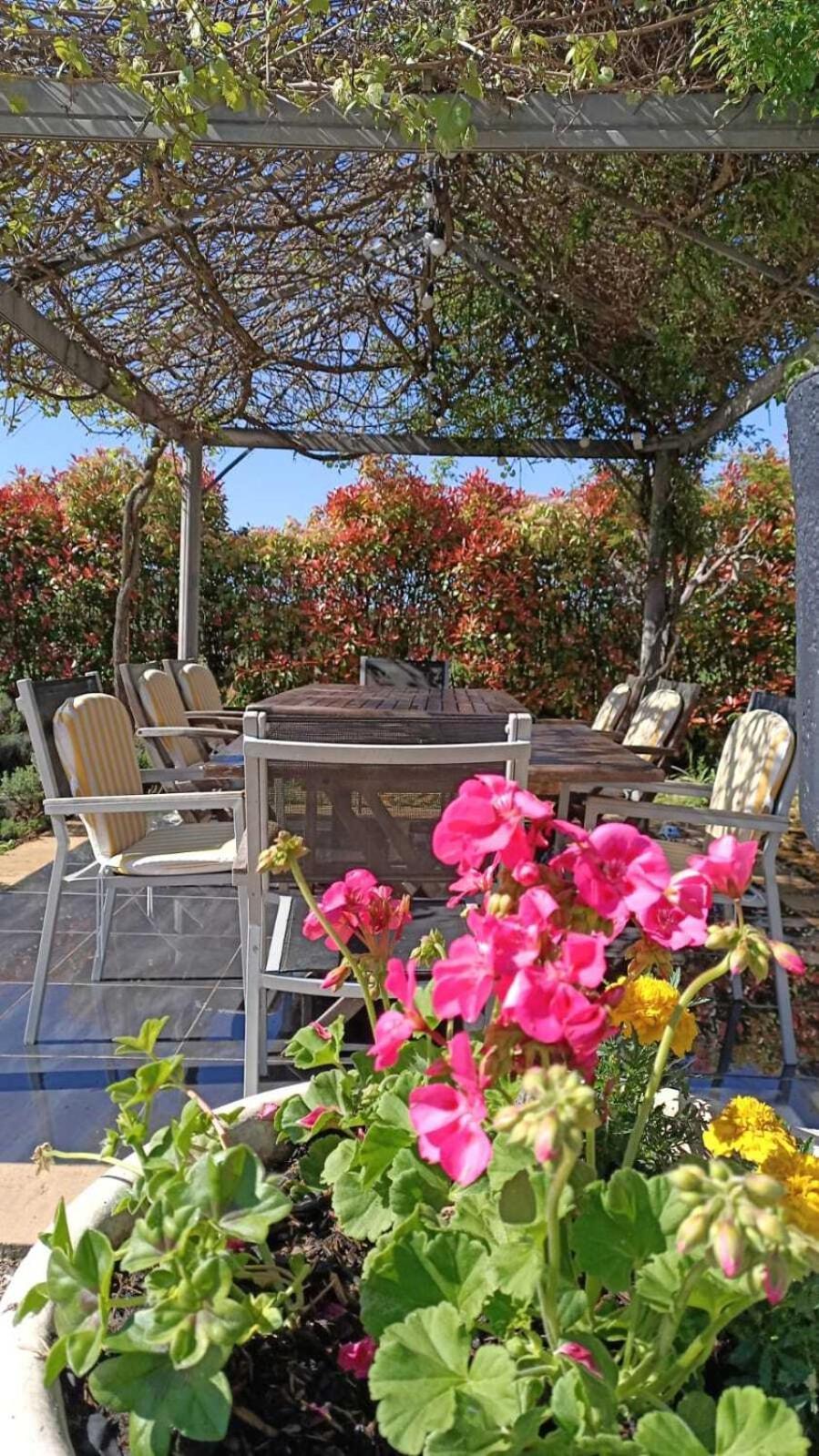 Mon Ventoux - Cozyhotes Sault-de-Vaucluse Esterno foto